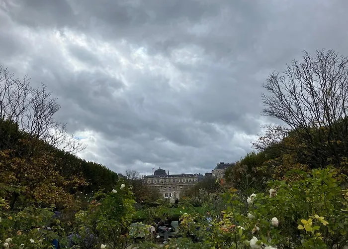 Next To Louvre * Paris