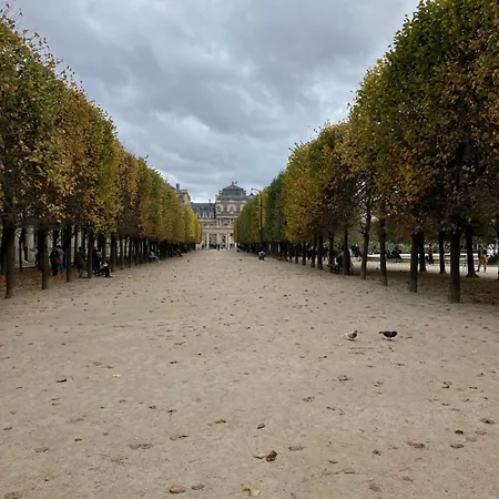 Next To Louvre Apartment Paris